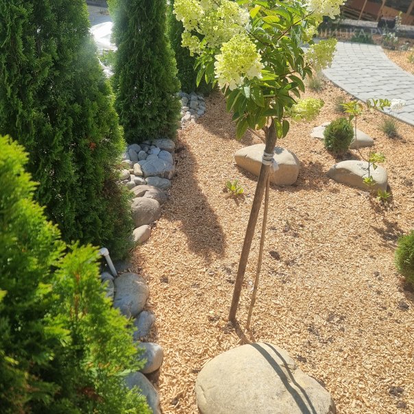 превью изображения отзыва