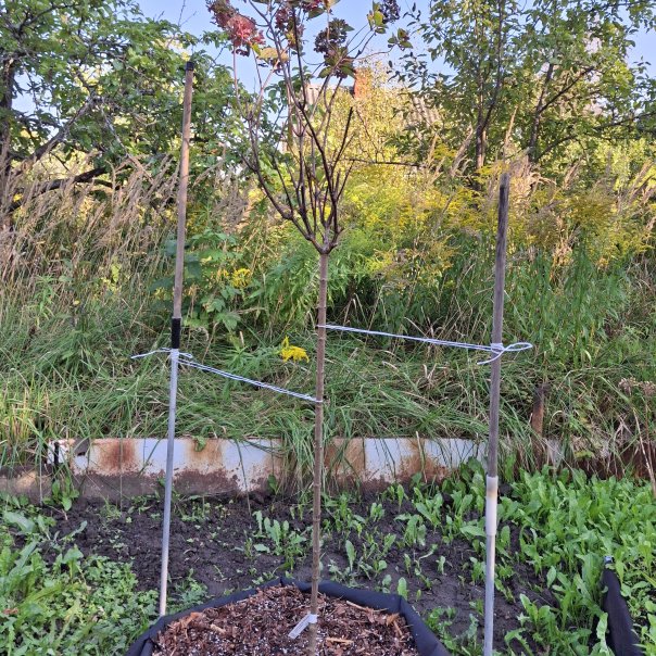 превью изображения отзыва