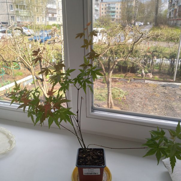 превью изображения отзыва