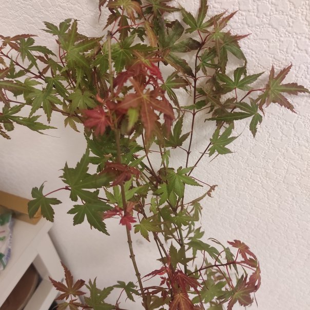 превью изображения отзыва