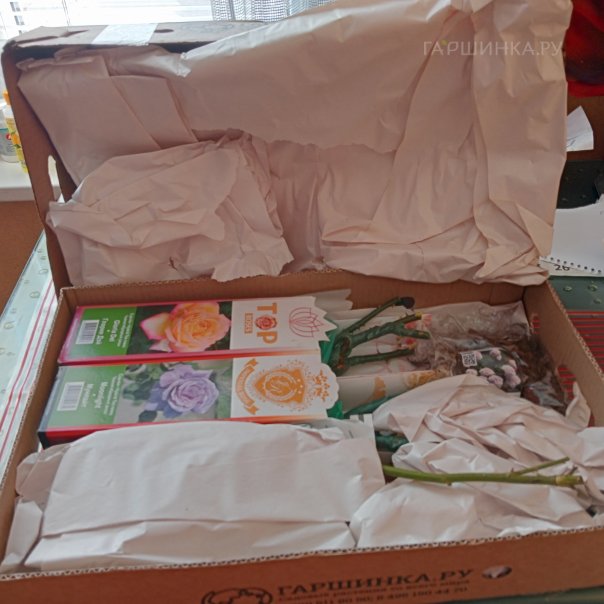 превью изображения отзыва