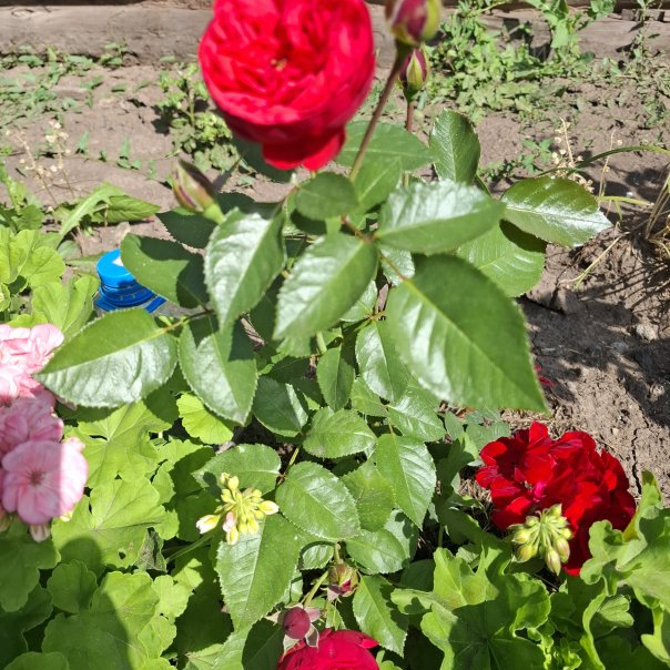 превью изображения отзыва