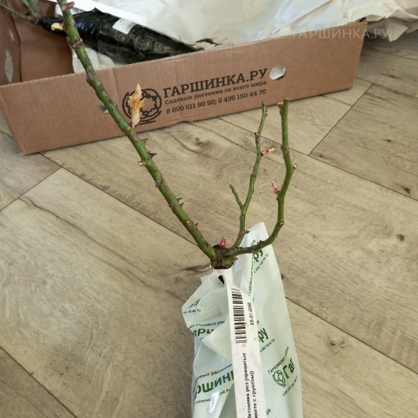 превью изображения отзыва