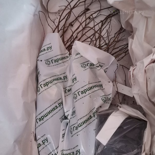 превью изображения отзыва