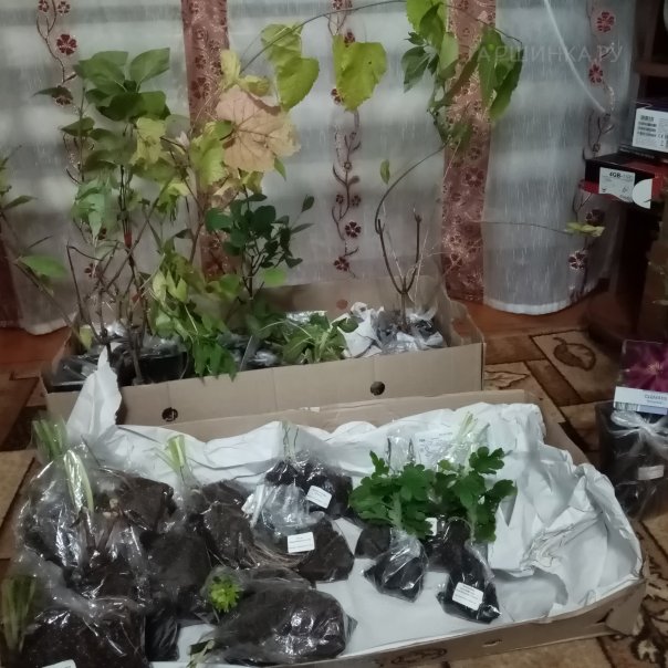 превью изображения отзыва