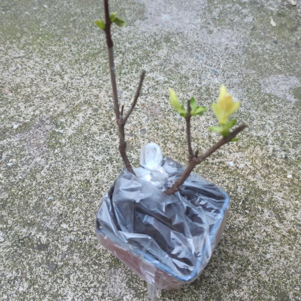 превью изображения отзыва