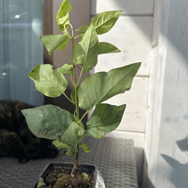 превью изображения отзыва