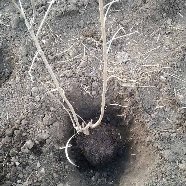 превью изображения отзыва