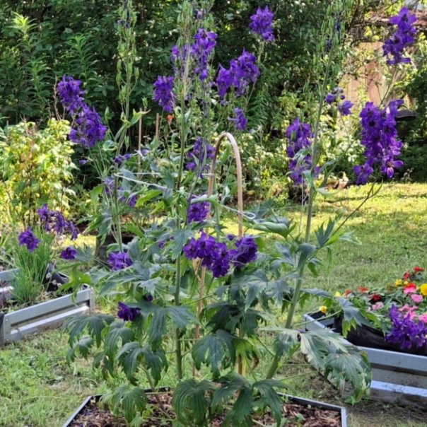 превью изображения отзыва