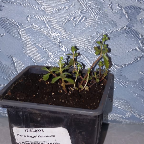 превью изображения отзыва