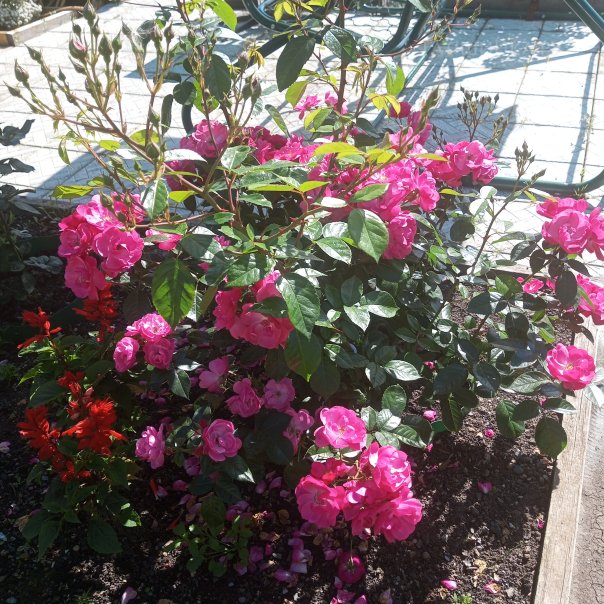 превью изображения отзыва