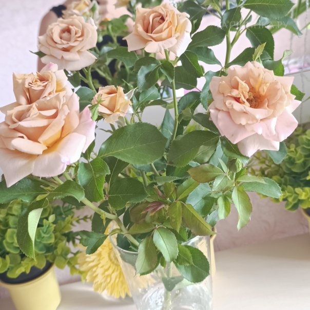 превью изображения отзыва