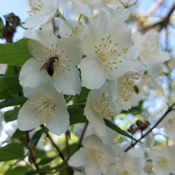превью изображения отзыва