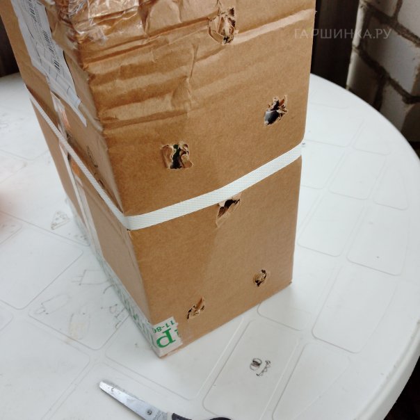 превью изображения отзыва