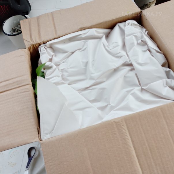 превью изображения отзыва