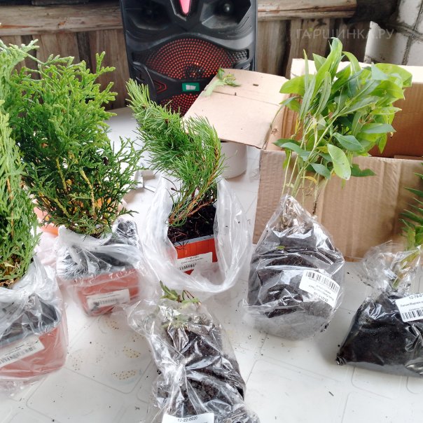 превью изображения отзыва