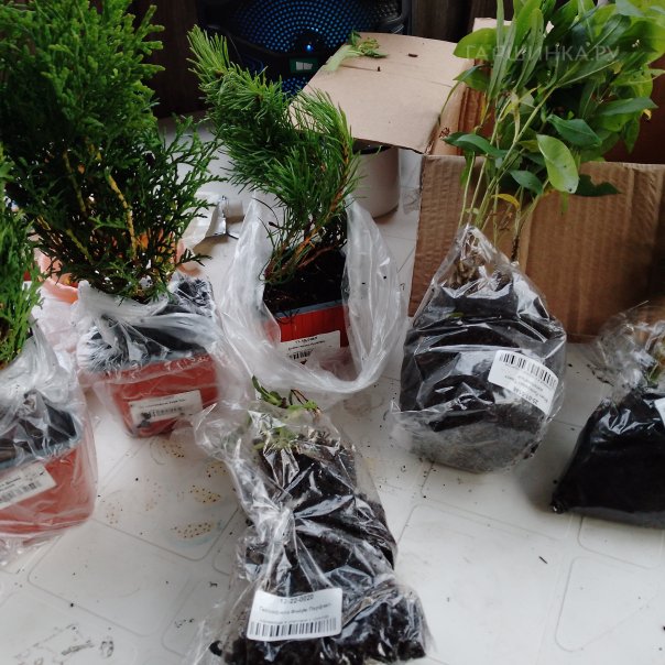 превью изображения отзыва