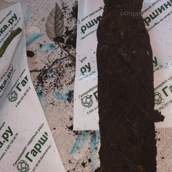 превью изображения отзыва