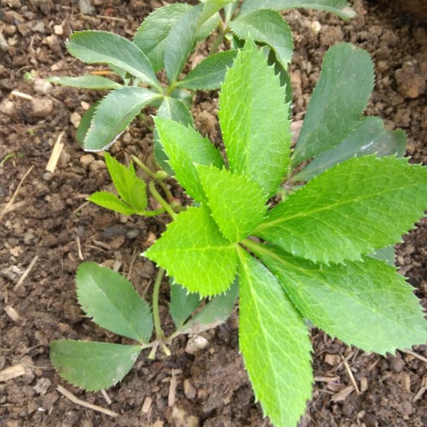 превью изображения отзыва