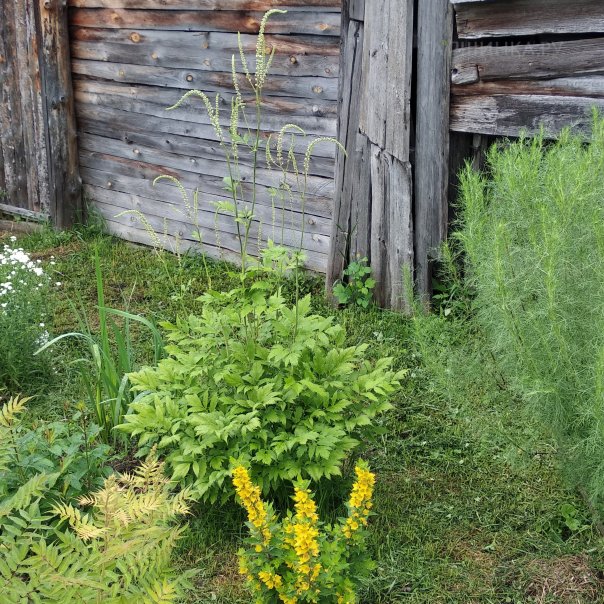 превью изображения отзыва