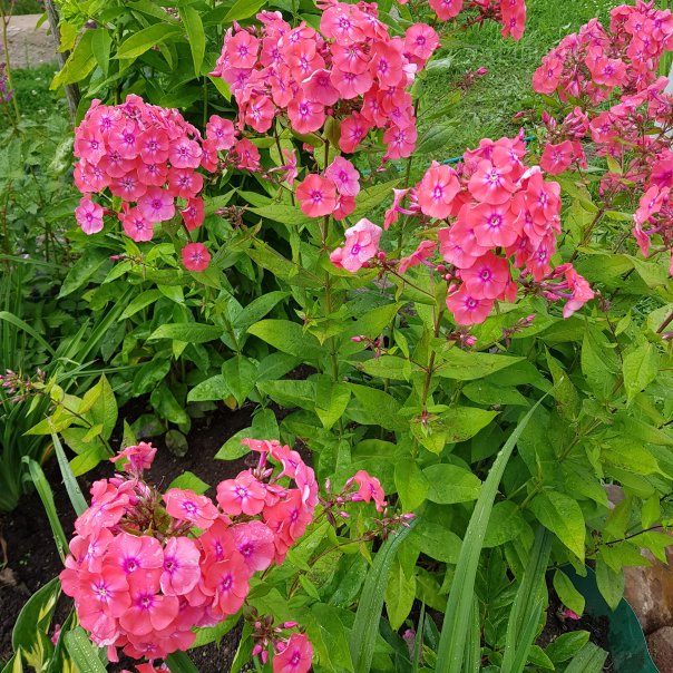 превью изображения отзыва