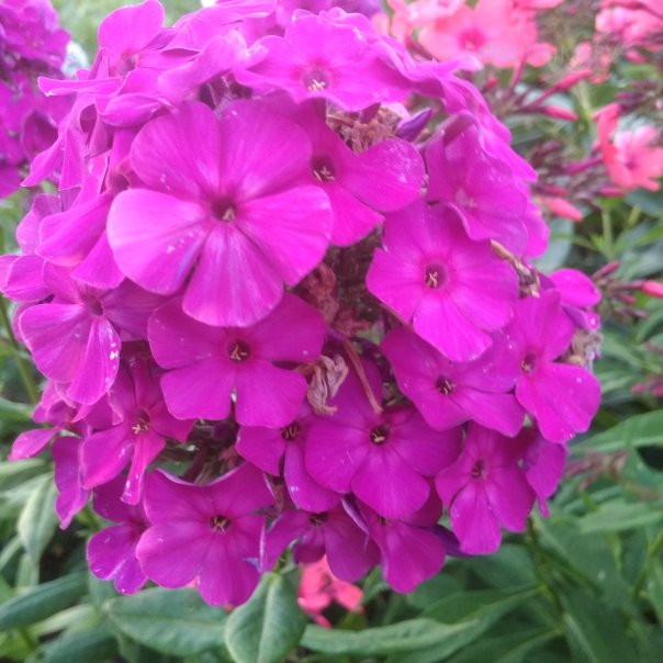 превью изображения отзыва