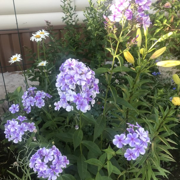 превью изображения отзыва