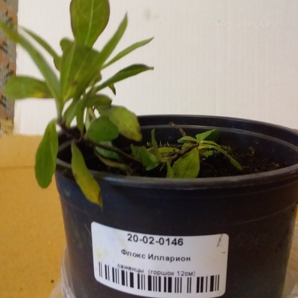 превью изображения отзыва