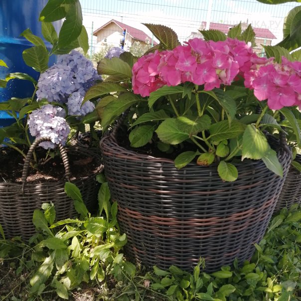 превью изображения отзыва