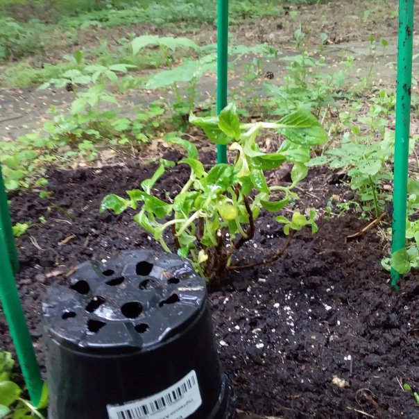 превью изображения отзыва