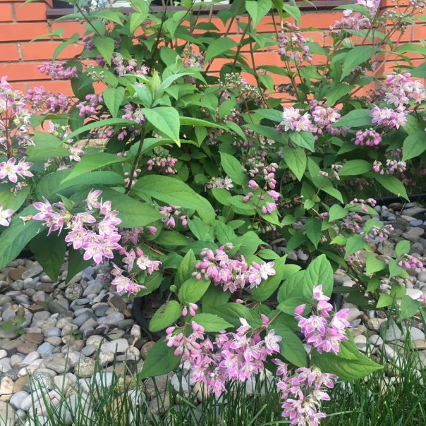 превью изображения отзыва