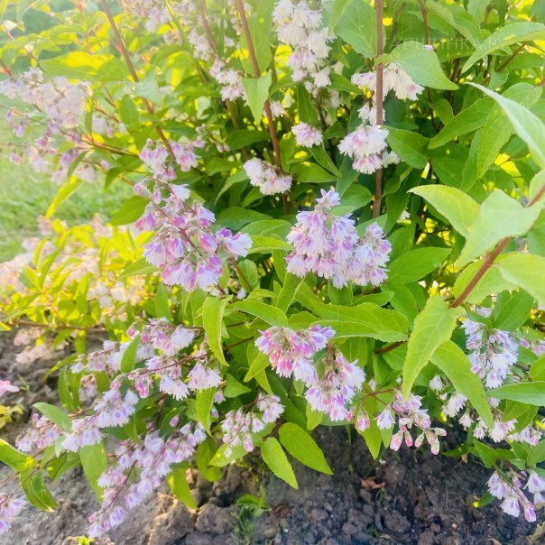 превью изображения отзыва