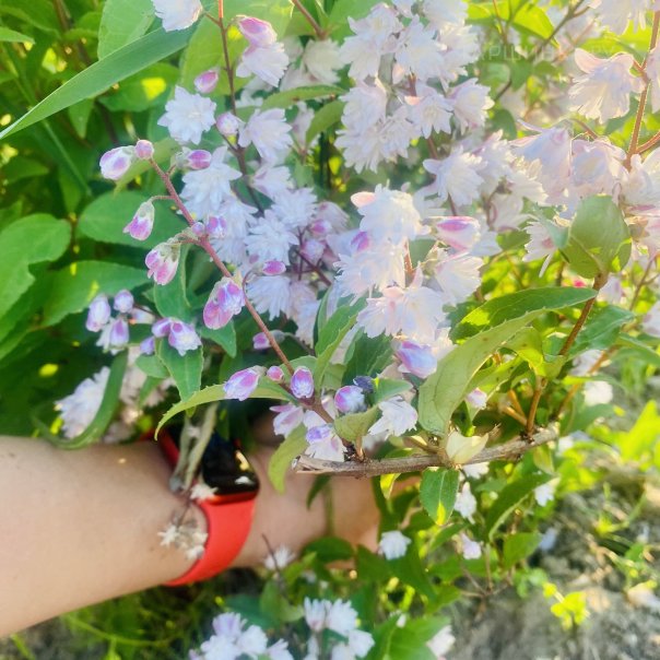 превью изображения отзыва