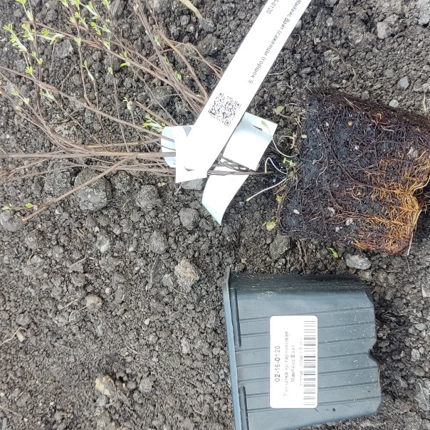 превью изображения отзыва