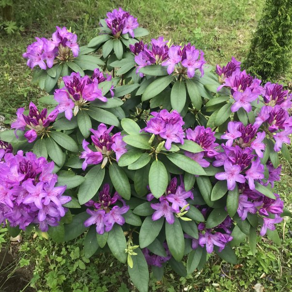 превью изображения отзыва