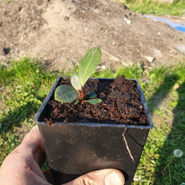 превью изображения отзыва