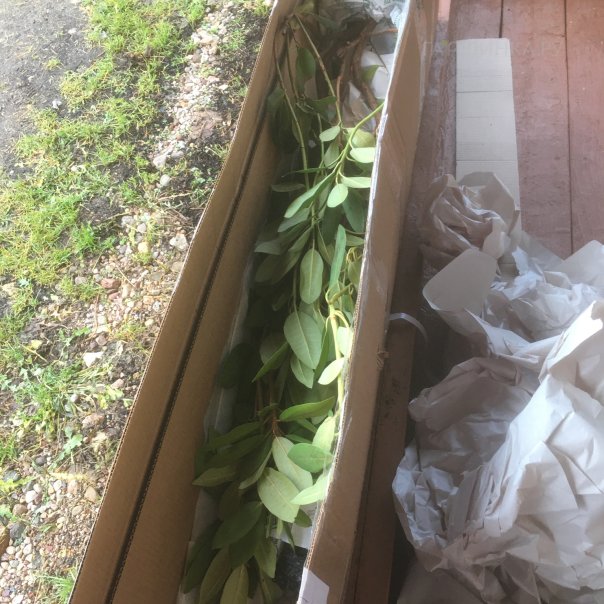 превью изображения отзыва