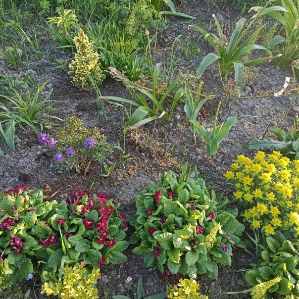 превью изображения отзыва