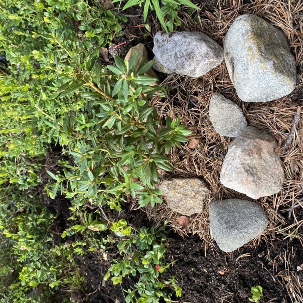 превью изображения отзыва