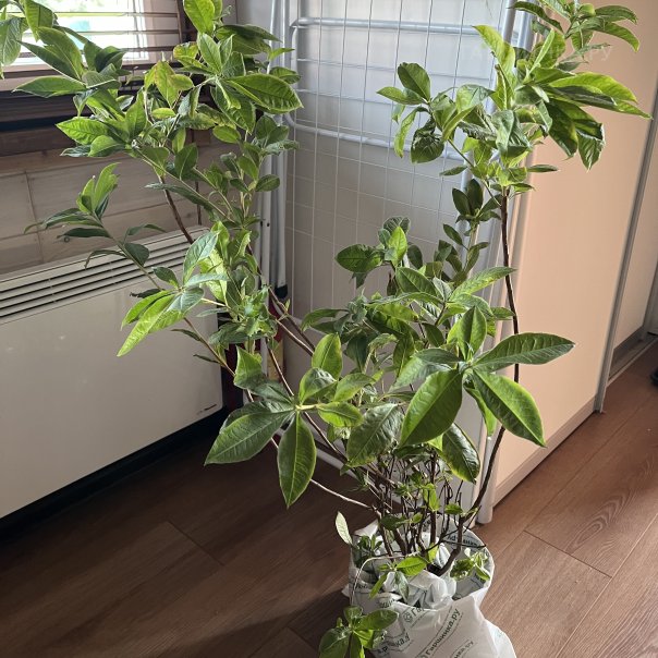 превью изображения отзыва