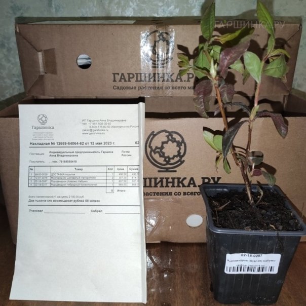 превью изображения отзыва