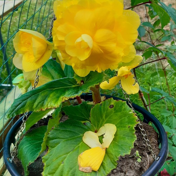 превью изображения отзыва