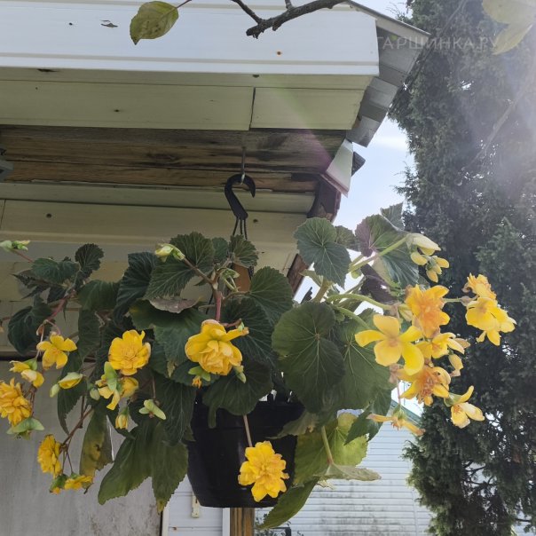 превью изображения отзыва