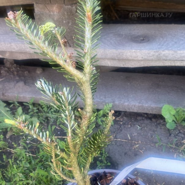 превью изображения отзыва