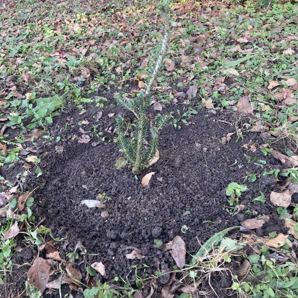 превью изображения отзыва