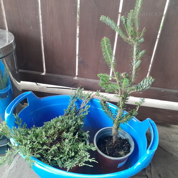 превью изображения отзыва