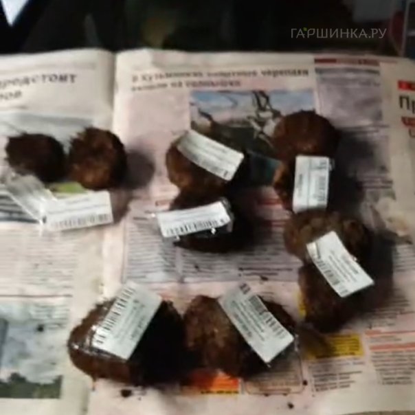 превью изображения отзыва