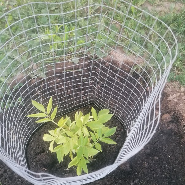 превью изображения отзыва