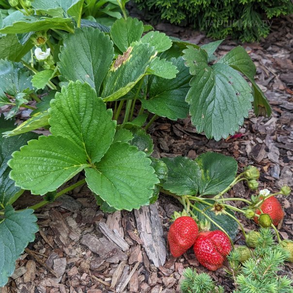 превью изображения отзыва