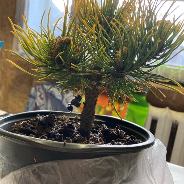 превью изображения отзыва